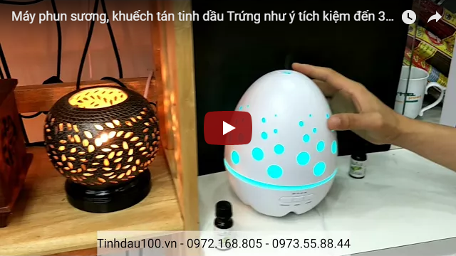 [VIDEO] Máy phun sương, khuếch tán tinh dầu Trứng như ý tích kiệm đến 300k!