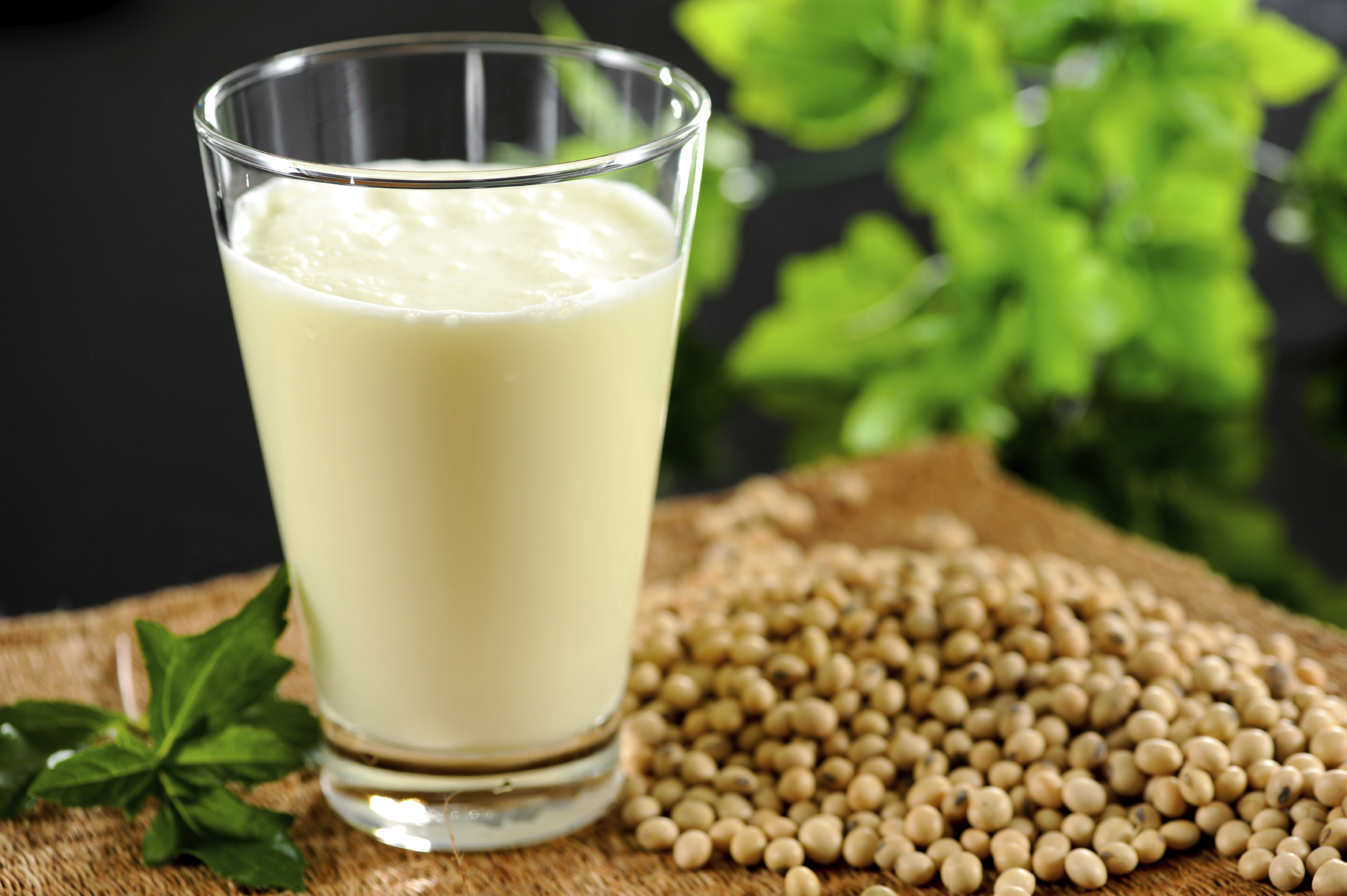 8 công dụng tuyệt vời của sữa đậu nành nguyên chất