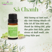 Phòng chống dịch sốt xuất huyết với Tinh dầu sả chanh