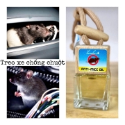 Chuột chui vào ô tô có thể gây hỏng xe và cháy nổ, giải pháp phòng tránh hiệu quả.
