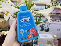 Bí quyết giúp bạn giữ cho hoa tươi lâu hơn và rực rỡ hơn