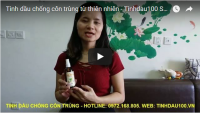 [VIDEO] Tinh dầu chống côn trùng từ thiên nhiên