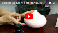 [VIDEO] Giải pháp xua đuổi muỗi bằng tinh dầu sả