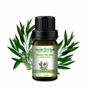 Liệu pháp trị mụn và da nhờn hiệu quả với tinh dầu tràm trà