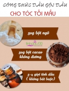 [ infographic] Công thức dầu gội đầu khô cho tóc tối mầu
