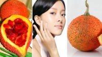 công dụng của dầu gấc khiến chị em mê mẩn
