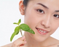 Đừng vội dùng thuốc, hãy trải nghiệm một số lợi ích của tinh dầu bạc hà đối với sức khỏe bạn