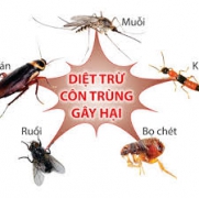 Nhà không còn bóng côn trùng với tinh dầu chống côn trùng Lam Hà