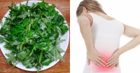 Hướng dẫn cách sử dụng tinh dầu ngải cứu đau pain
