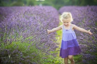 Mách bạn cách điều trị bệnh ghẻ lở ở trẻ bằng tinh dầu oải hương