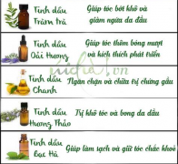 Mách bạn 5 loại tinh dầu dưỡng tóc hiệu quả