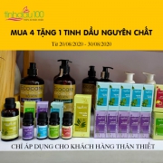 Mua 4 tặng 1 tinh dầu dành cho khách hàng thân thiết của Tinh Dầu 100