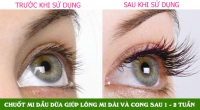 Bạn đã biết cách dưỡng để mi dày và cong chưa ?
