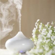 Máy khuếch tán tinh dầu - mang hương thơm từ thiên nhiên đến căn phòng nhà bạn