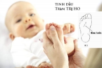 Tinh dầu tràm trị ho, cảm cúm hiệu quả