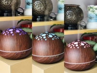 Shop tinh dầu 100 liên tục cập nhật các mẫu máy phun sương tinh dầu vô cùng hót hít đây ạ!