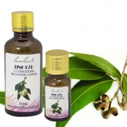 Những công dụng bất ngờ của tinh dầu bạch đàn chanh