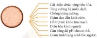 Bạn đã biết chăm sóc sức khỏe từ muối Himalaya chưa?
