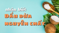 Mách các bạn bí quyết nhận biết dầu dừa nguyên chất, chất lượng