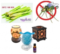 công thức tự làm thuốc chống côn trùng tại nhà