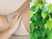 Vệ sinh vùng kín sau sinh hiêu quả trong nháy mắt