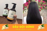 Mách bạn 4 lý do nên sử dụng dầu gội gừng mà không phải sản phẩm khác