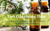 Tại sao người châu Âu lại ưa dùng tinh dầu Hương Thảo?