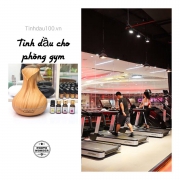 Bạn đã chọn được tinh dầu cho phòng gym hay yoga trong mùa hè sắp tới chưa???
