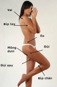 Cách dùng tinh dầu tràm cho phụ nữ sau sinh có vóc dáng thon gọn