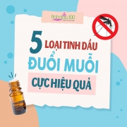 5 loại tinh dầu thiên nhiên đuổi muỗi cực hiệu quả