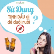 Sử dụng tinh dầu gì để đuổi ruồi???