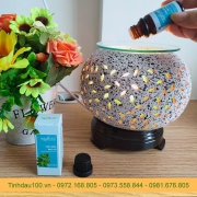 Đuổi muỗi bằng tinh dầu bạc hà, bạn đã biết chưa???