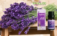 Tại sao tinh dầu oải hương lại được ứng dụng nhiều trong đời sống như vậy?