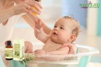 Mách các mẹ công dụng nổi bật của Tinh dầu tràm có thể các mẹ chưa biết!