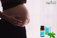 Tinh dầu bạc hà- Tinh dầu 100 có thực sự tốt cho bà bầu?