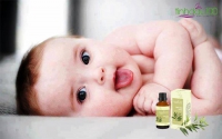 Tại sao Tinh dầu tràm - Tinh Dầu 100 lại khiến hàng trăm nghìn bà mẹ Việt tin dùng?