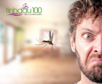 Hóa ra bạn không thể đuổi được muỗi, nhà bạn đầy muỗi vì lý do này hay sao?