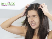 Bạn có biết cách giảm ngứa da đầu hiệu quả?