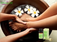 Hướng dẫn sử dụng Tinh dầu sả chanh - Tinh Dầu 100 cho người mới bắt đầu