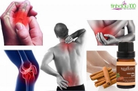 Tác dụng thần kỳ của Tinh dầu quế đối với người bị đau nhức xương khớp/cảm cúm/viêm mũi họng/vấn đề tiêu hóa/đau đầu/say tàu xe