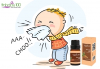 Tinh dầu quế có hỗ trợ giảm được bệnh cảm cúm/ đau đầu/đau nhức xương khớp không?