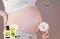 Tinh dầu tràm - Tinh Dầu 100 có dùng được cho phụ nữ có bầu không?
