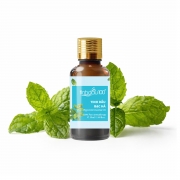 Tinh dầu bạc hà nguyên chất 50ml Tinh Dầu 100