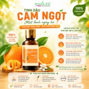 Tinh dầu cam nguyên chất 50ml Tinh dầu 100