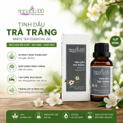 Tinh dầu trà trắng 50ml Tinh Dầu 100