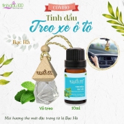 Chống say xe với tinh dầu bạc hà thơm mát từ thiên nhiên