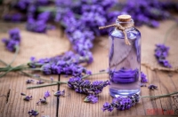 Có thể bạn chưa biết tinh dầu oải hương rất tốt cho hệ thần kinh của bạn.