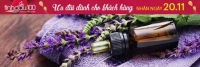 Khuyến mại 20/11. Bạn đã có quà gì tặng thầy cô chưa?