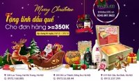 TẶNG TINH DẦU QUẾ ĐỂ GIÁNG SINH ẤM ÁP TRÀN YÊU THƯƠNG