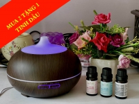 Bạn có muốn ngôi nhà của mình thơm như khách sạn 5 sao để đón Tết không?